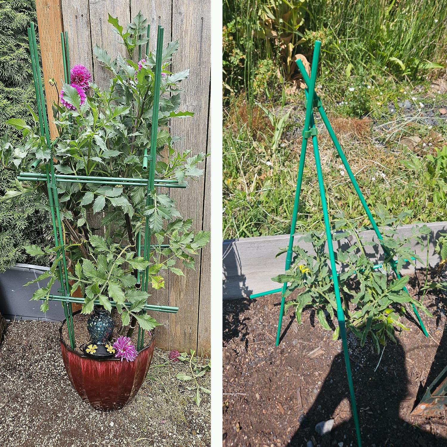 Alabzphsia garden twist ties neatly secure stems and branches