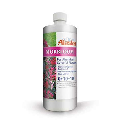 Two Alaska Morbloom concentrate bottles ready for garden use