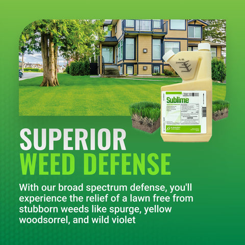 Albaugh Sublime applied on turf delivering fast-acting control of stubborn broadleaf weeds