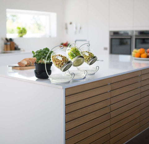 ALCEDIA 316 stainless screen lid offers durable, easy-to-clean sprout screening.