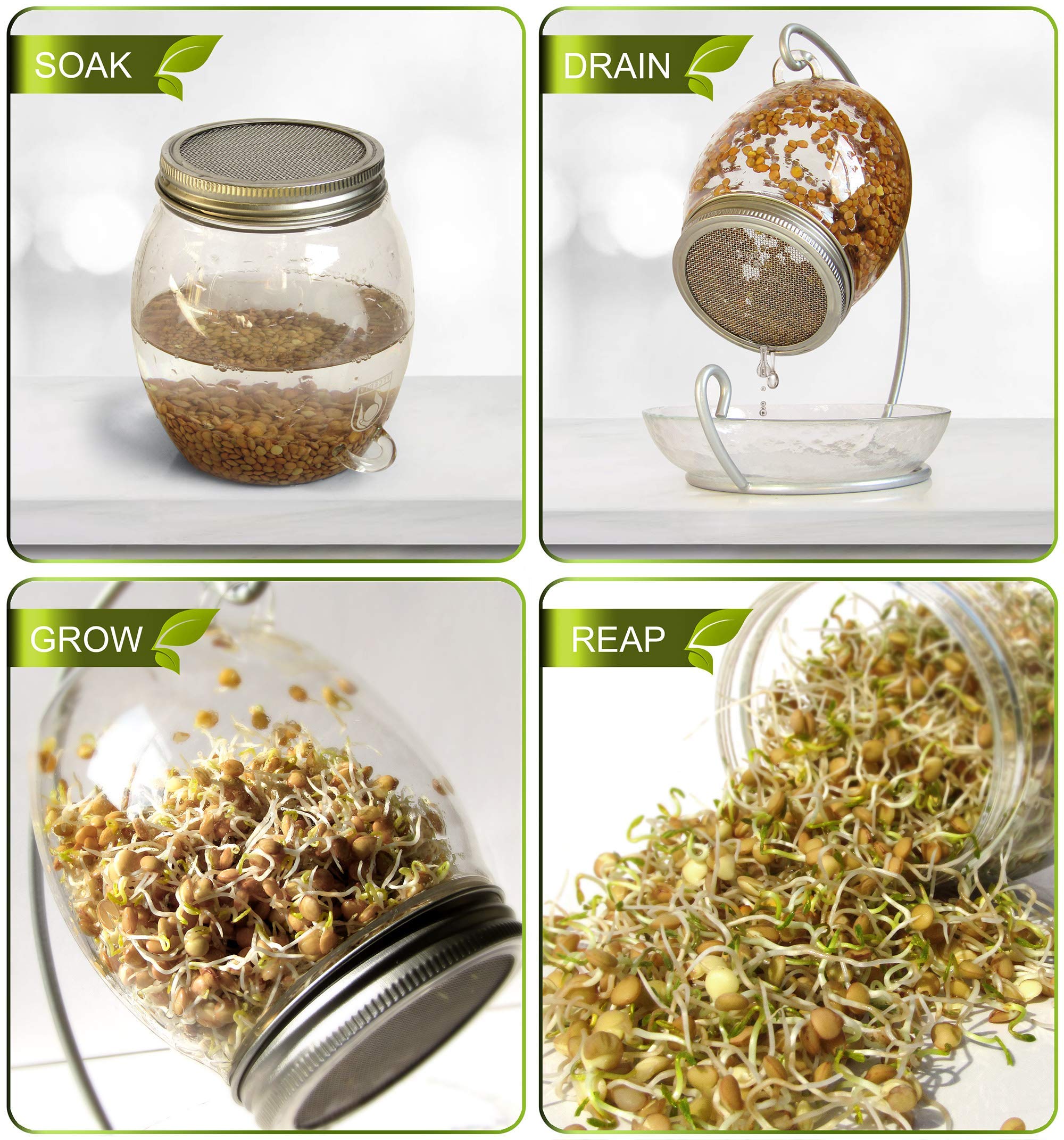 ALCEDIA sprouting tray provides airflow and drainage for even growth.