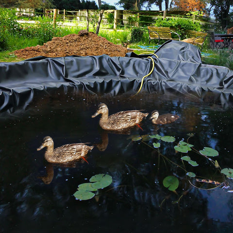 ALDMIO koi pond liner supports fish health with durable layering.