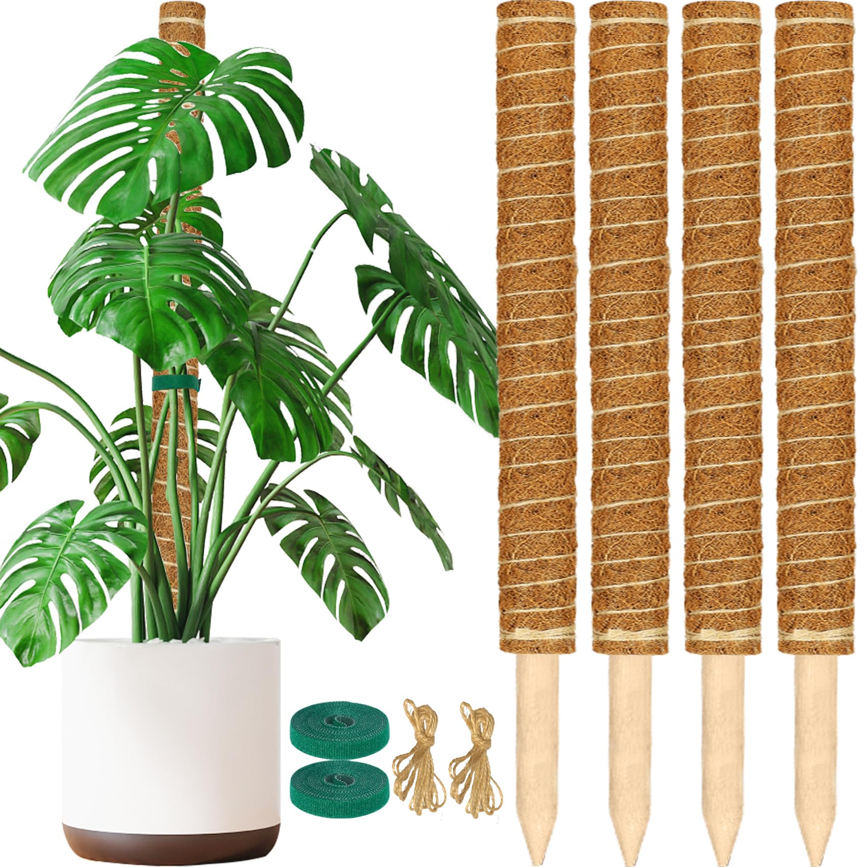 ALENEY moss pole four-pack stackable setup supports upward growth for Monstera