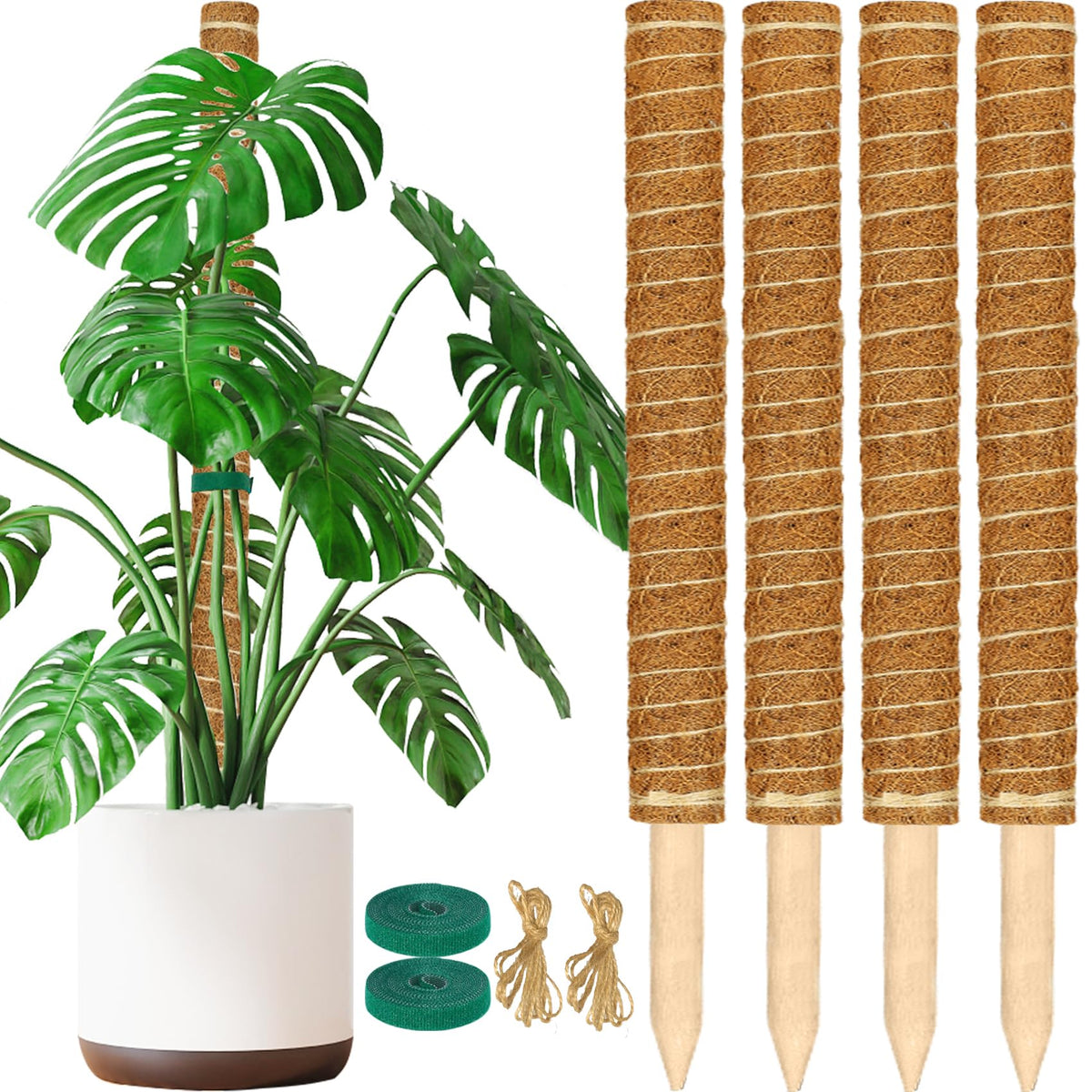 ALENEY moss pole four-pack stackable setup supports upward growth for Monstera