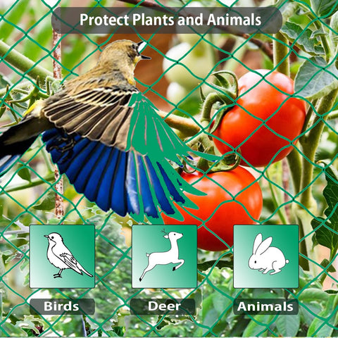 Aliagle blueberry netting keeps birds away for a peck-free harvest.