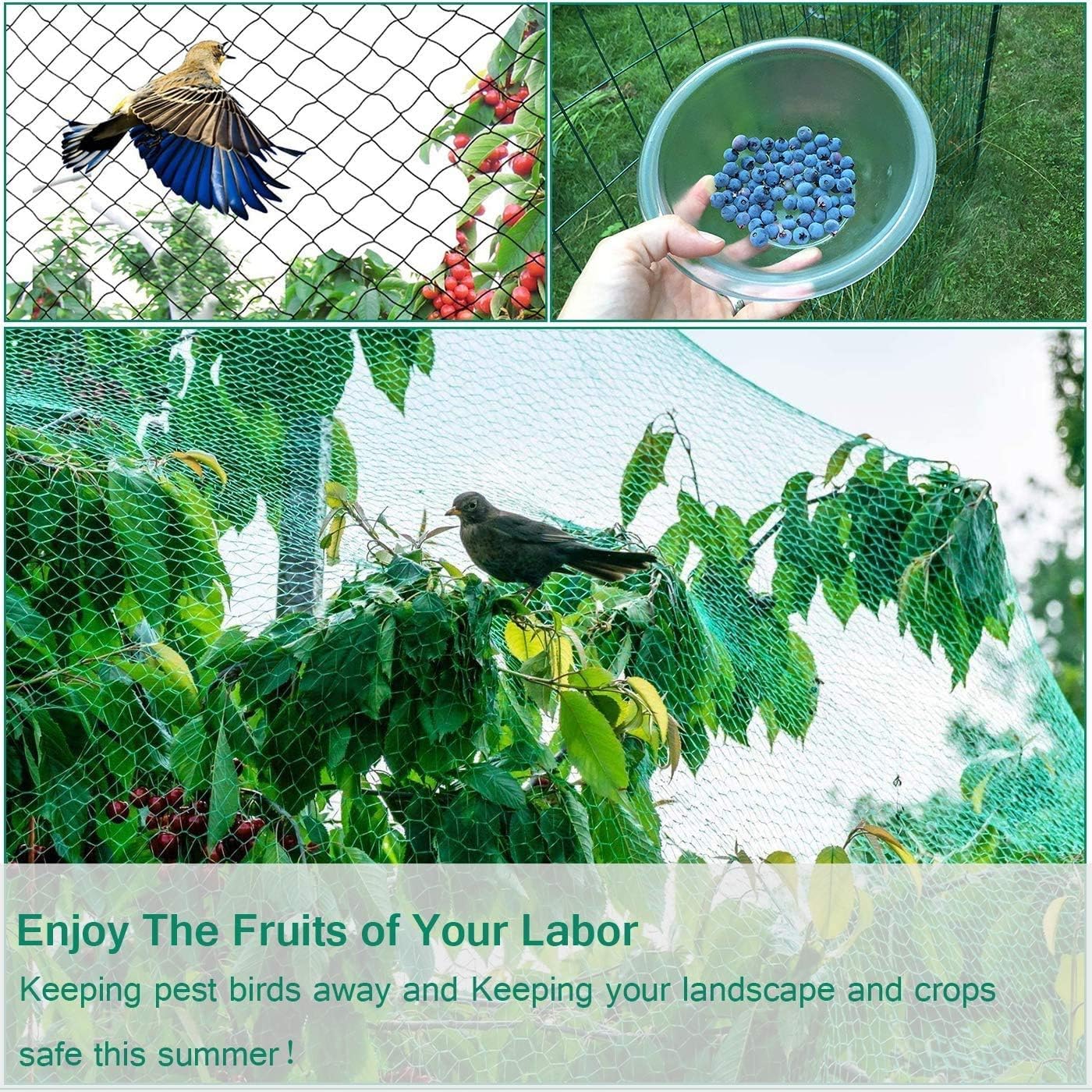 Aliagle light-penetrating netting lets light through while guarding crops.