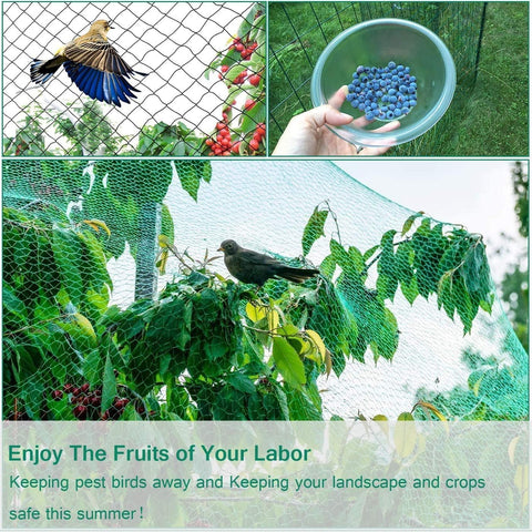 Aliagle light-penetrating netting lets light through while guarding crops.