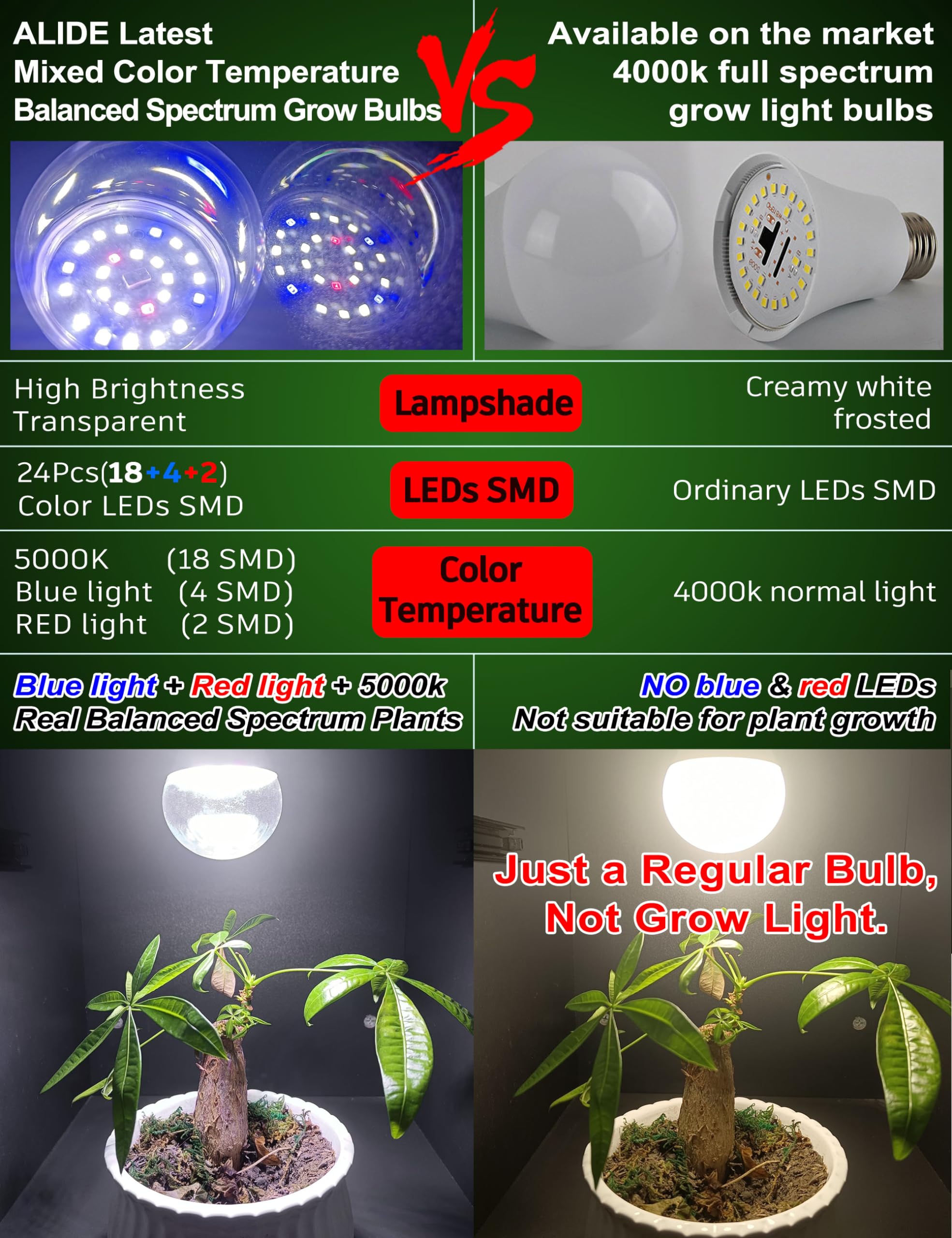 ALIDE green-yellow spectrum promotes leaf expansion and robust photosynthesis