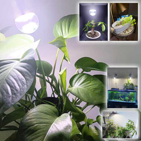 ALIDE 3-pack grow bulbs ideal for multi-plant setups and experiments
