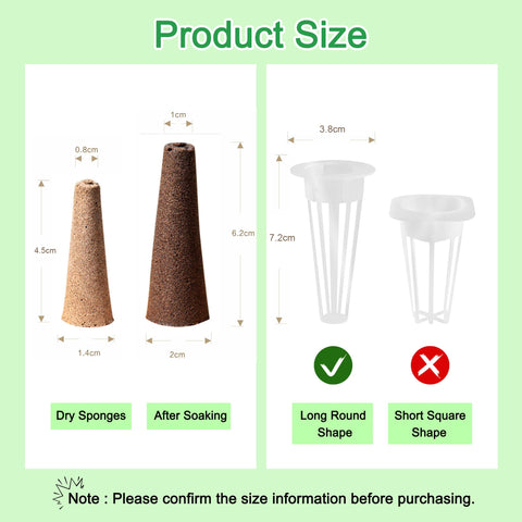 ALIINKD A&B nutrient bottles to support robust root development.