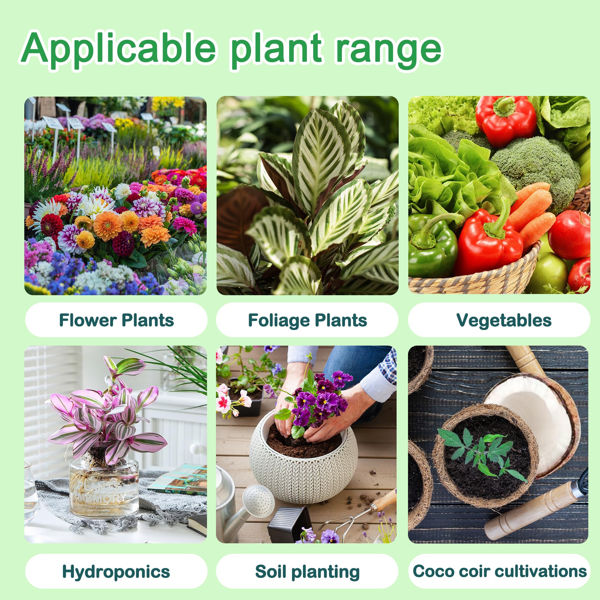 ALIINKD nutrients nourishing thriving potted plants indoors