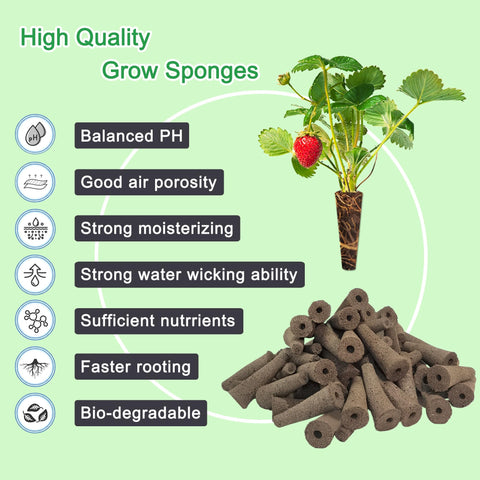 ALIINKD plant labels for easy indoor hydroponic garden organization.