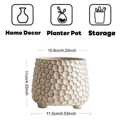 Alikexin white ceramic planter with succulent on a sunny windowsill.