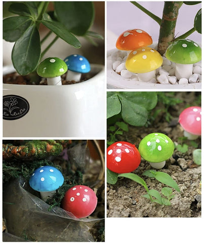 Aliotech 2 cm size fits small planters neatly.