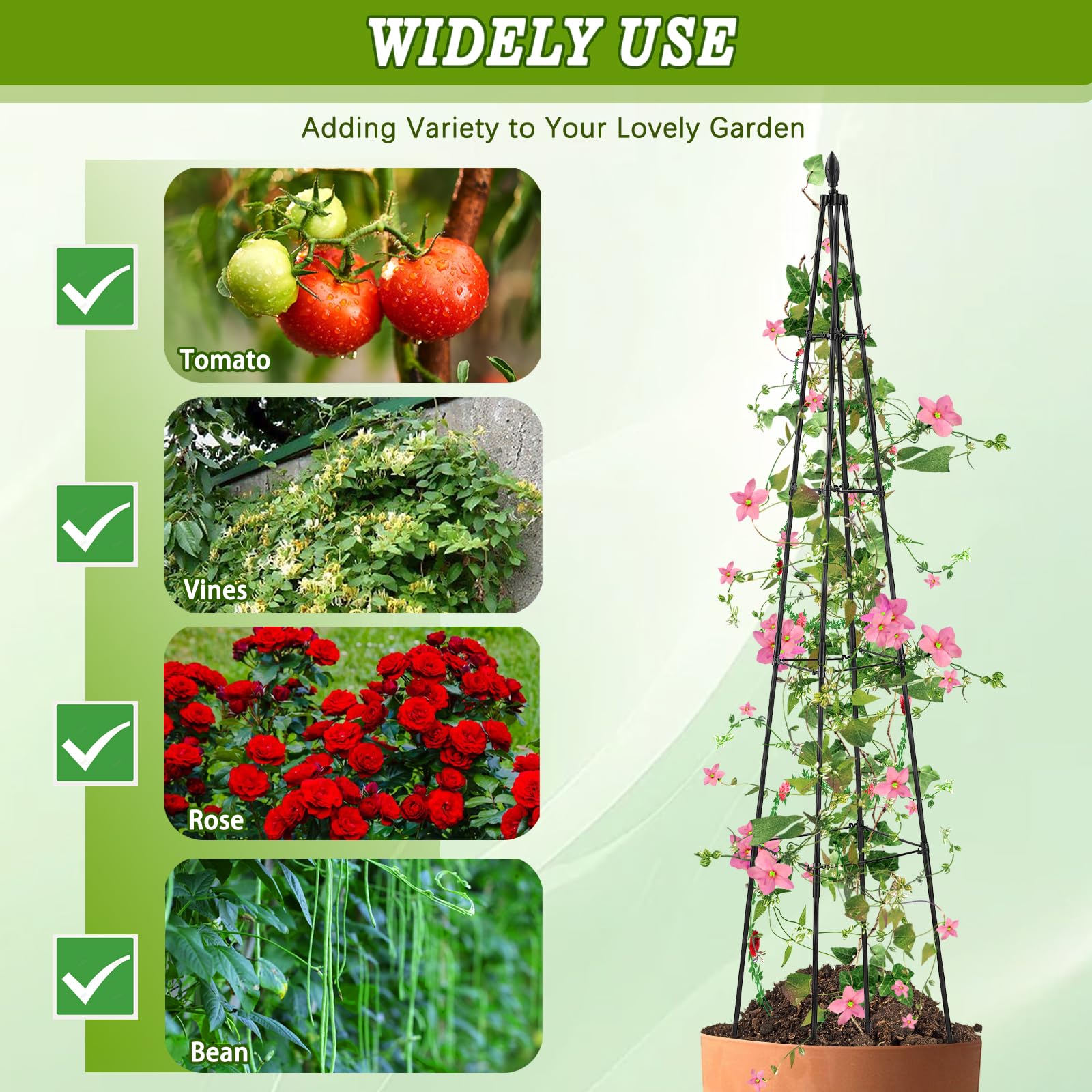 Supports roses, tomatoes, cucumbers with AlisisFores climbing trellis.