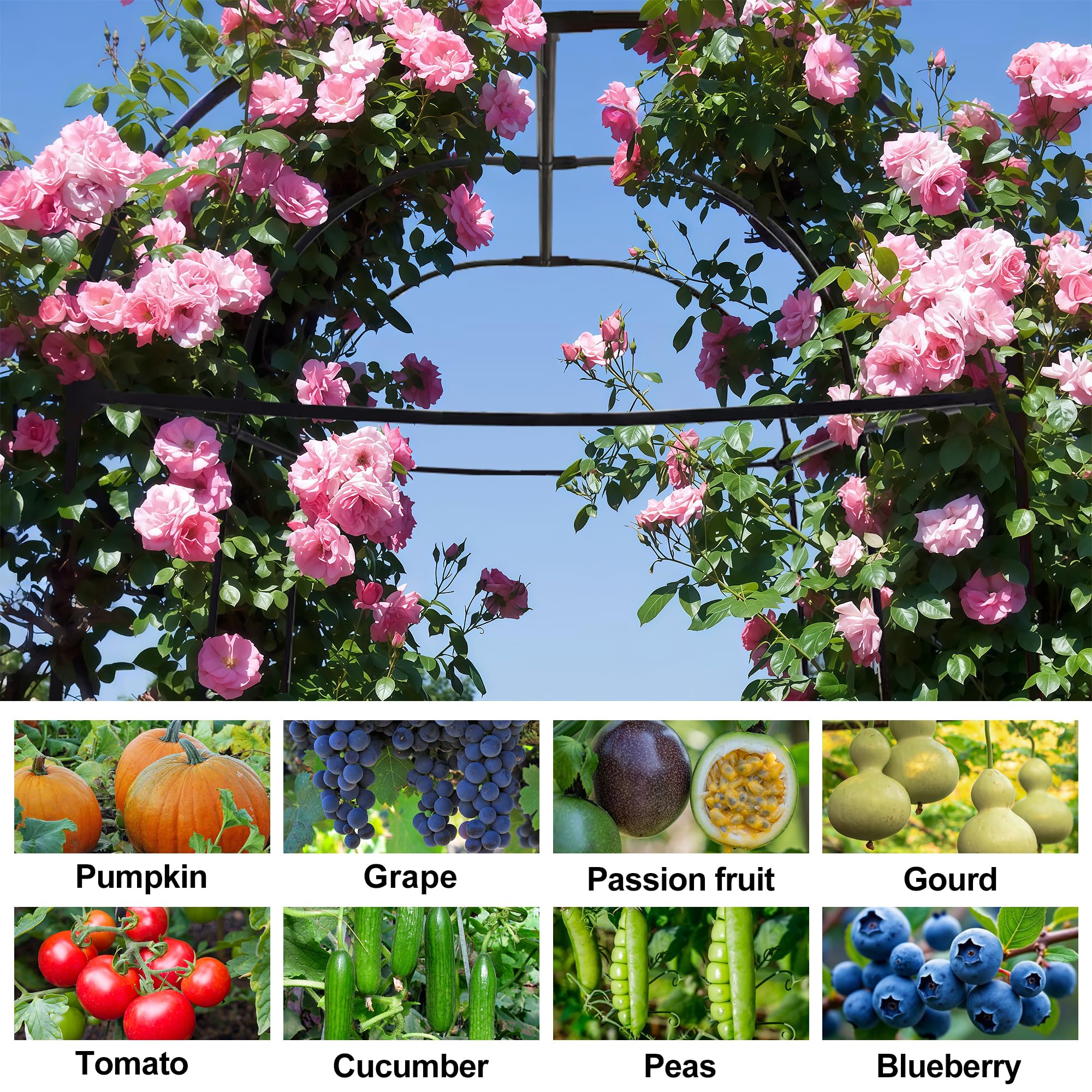 AlisisFores garden arch trellis bridges beds, creating a seamless tunnel for vines.
