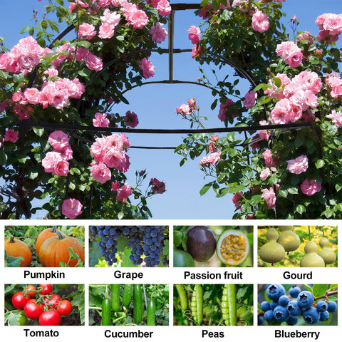 AlisisFores garden arch trellis bridges beds, creating a seamless tunnel for vines.