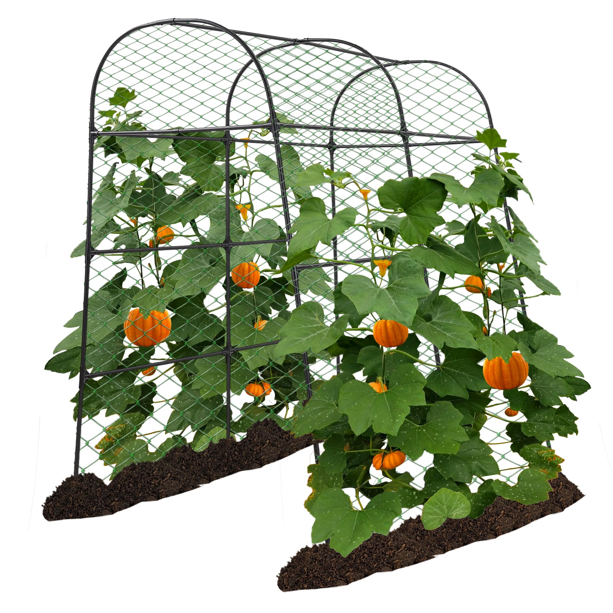 AlisisFores garden arch trellis front view supports vertical vegetable growth.