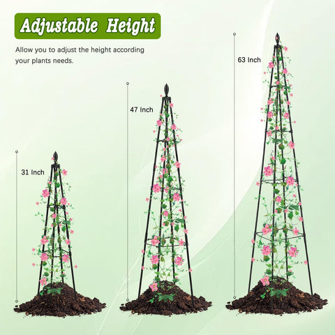 AlisisFores rustproof metal obelisk outdoors supports climbing vines.