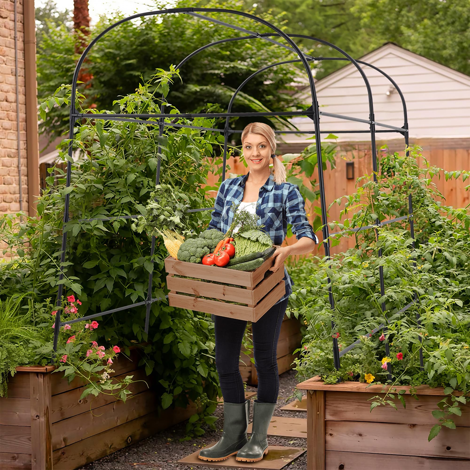 AlisisFores trellis steel frame with polyethylene coating resists rust across seasons.
