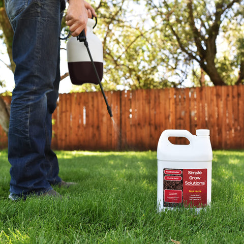 All grass types, including Bermuda and fescue, benefit from Root Hume.