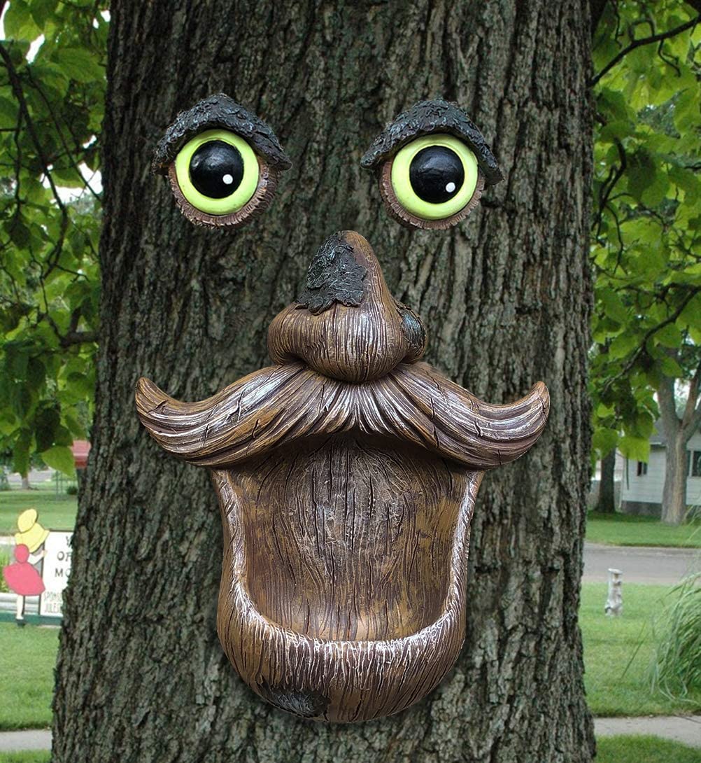 ALLADINBOX Tree Face Birdfeeder eyes detail attracting birds in a whimsical garden focal point.