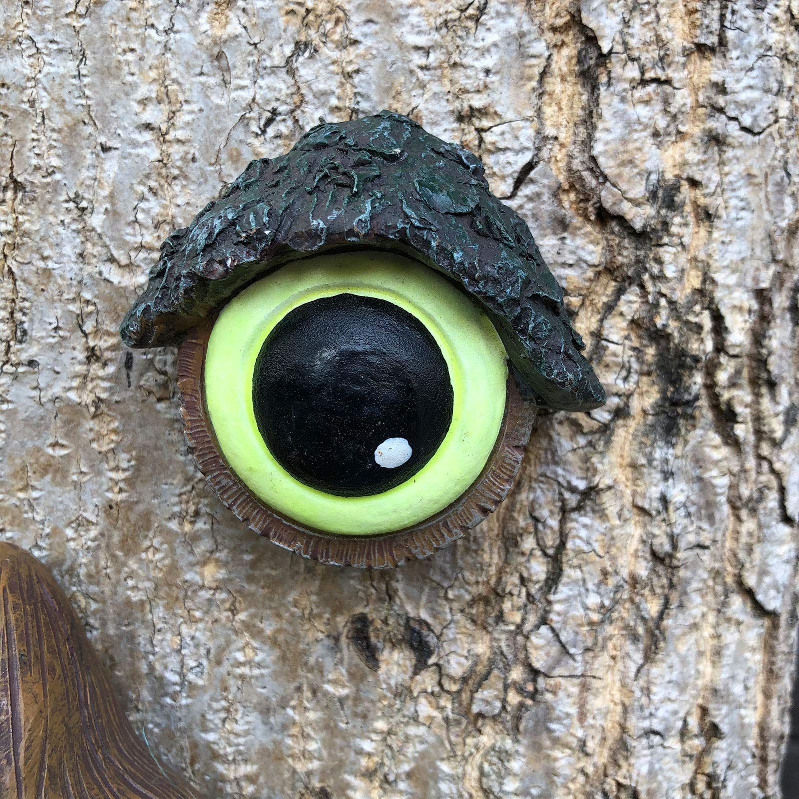 ALLADINBOX Tree Face Birdfeeder suits outdoor spaces and family viewing.