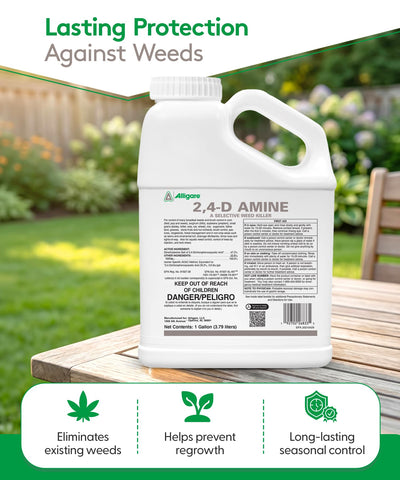 Aquatic site weed control by Alligare 2,4-D in action.