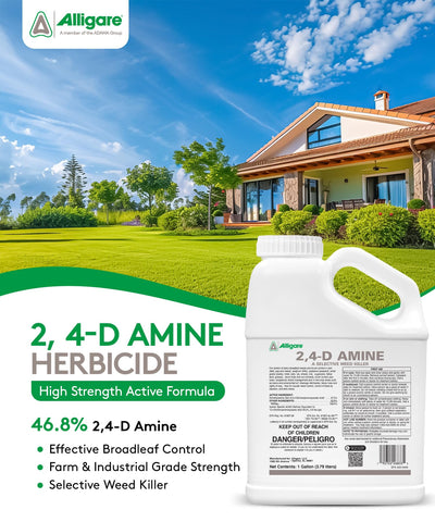 Alligare 2,4-D broadleaf weed killer shown for even field coverage.