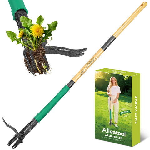 Allsetool stand-up weed puller for back-friendly weeding