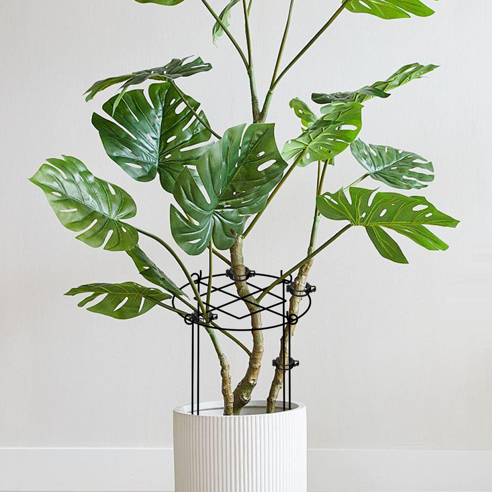 ALLTOOALL adjustable ring accommodates expanding plants and different crops.