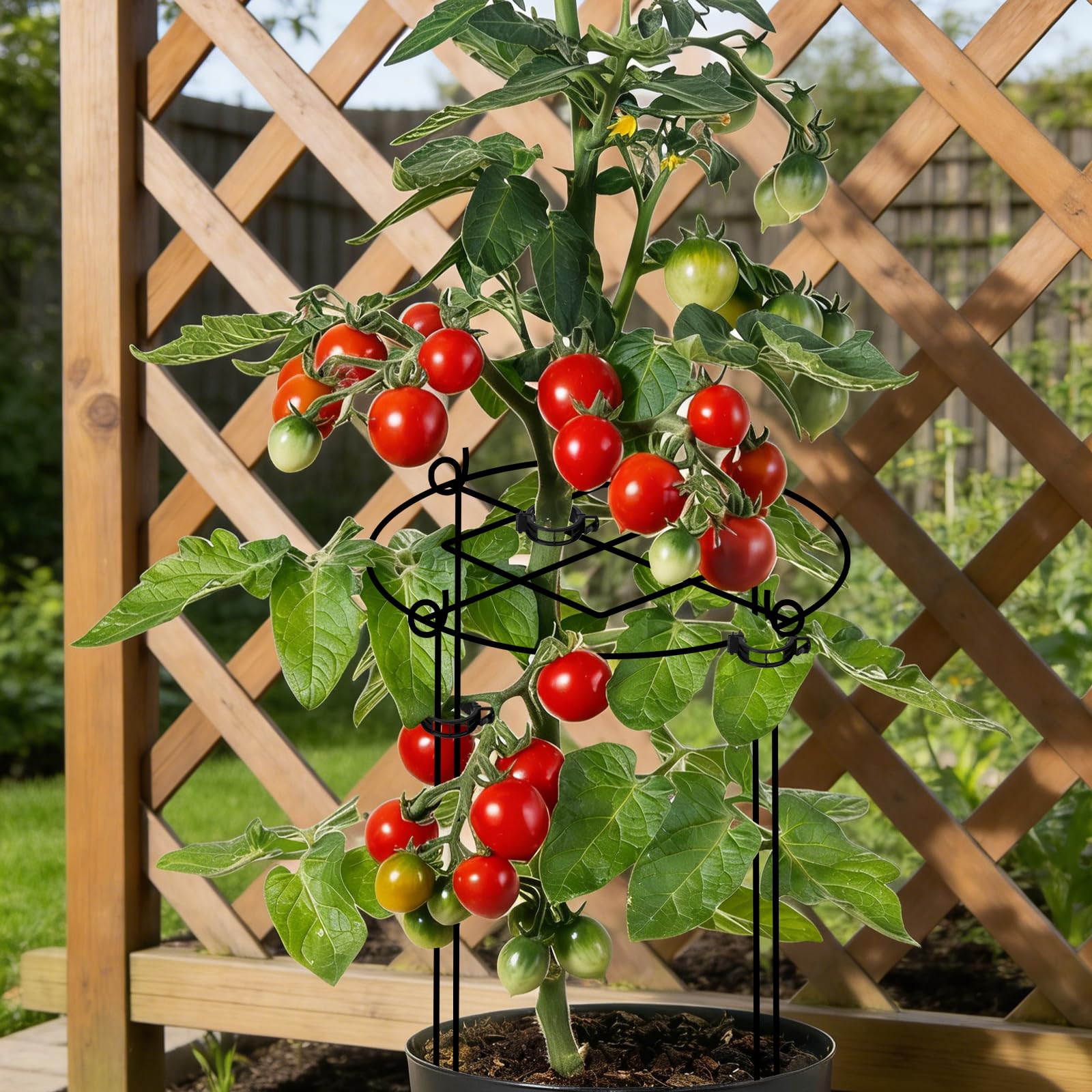 ALLTOOALL versatile garden cage fits peonies, roses, tomatoes, and perennials.
