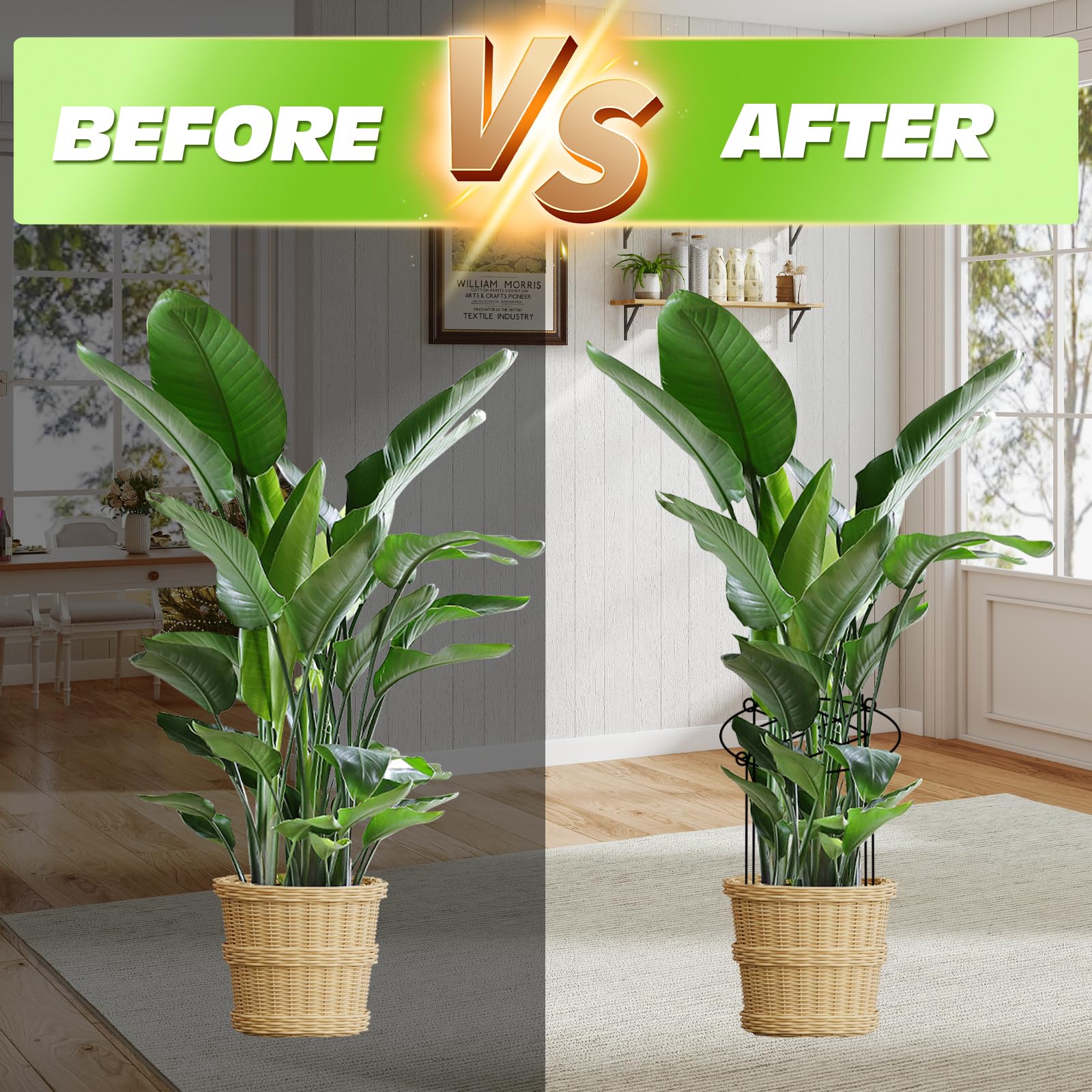 ALLTOOALL grow-through design promotes natural airflow and healthier stems.