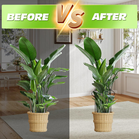 ALLTOOALL grow-through design promotes natural airflow and healthier stems.