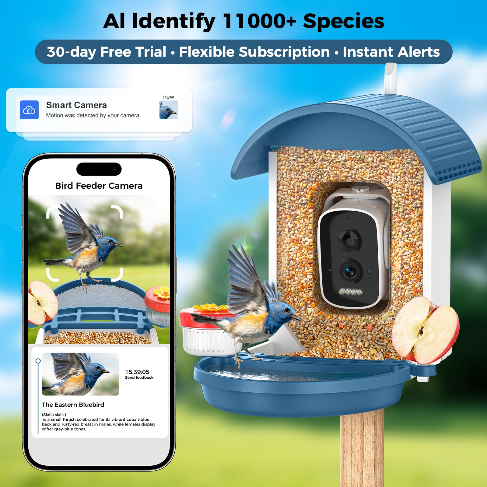 Allweviee birdfeeder camera night vision helps watch nighttime visitors safely.