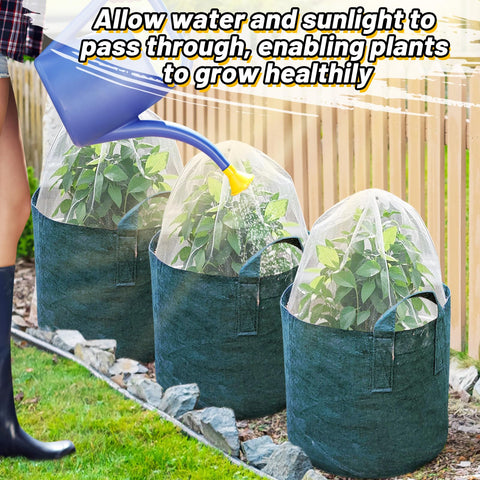 Alphatool bird barrier helps protect fruits and flowers from hungry wildlife.