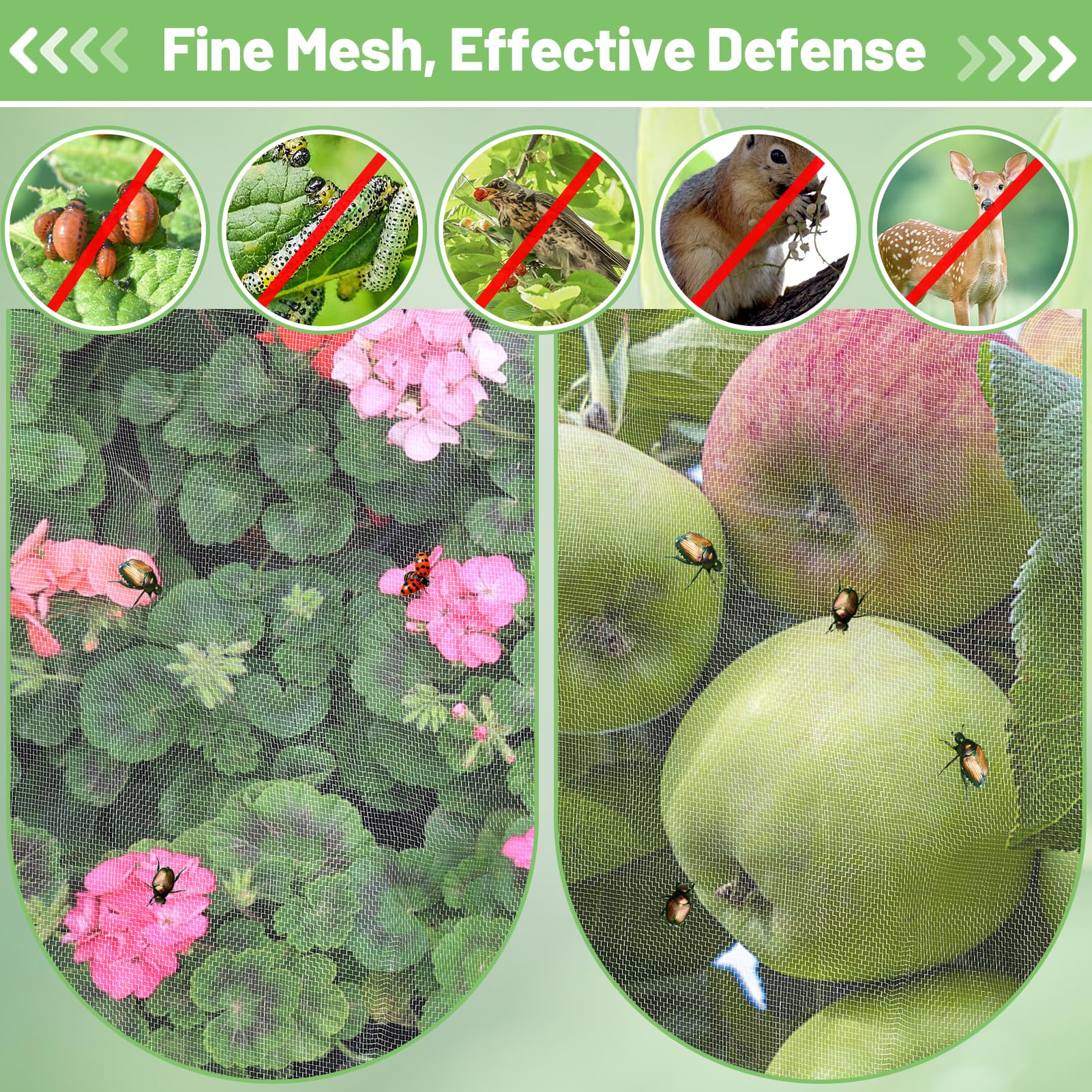 Alphatool netting with high permeability supports watering and plant growth.