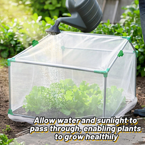 Alphatool see-through mesh netting showing plant growth beneath.