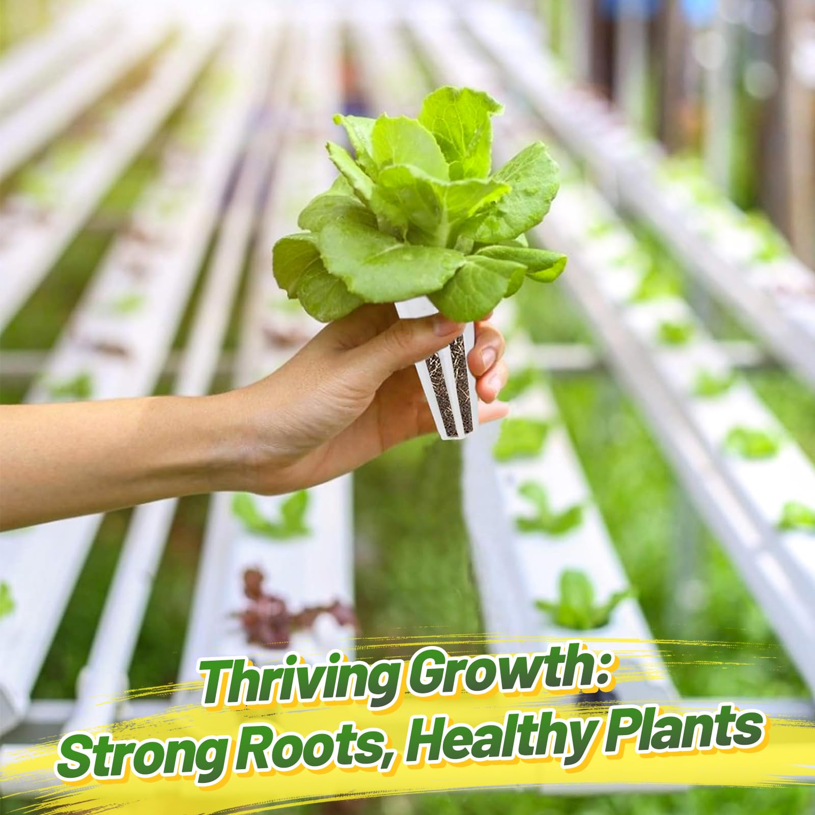 Alphatool seed-starting in domes enables efficient germination and easy transplant.