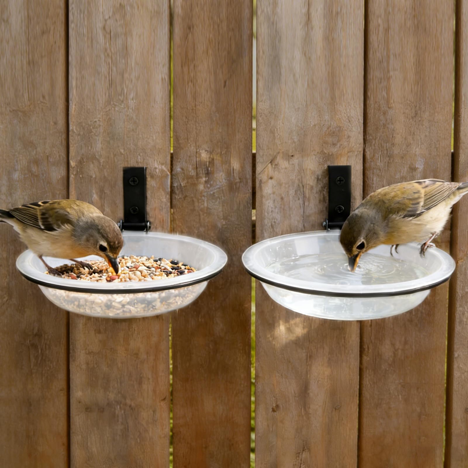 Alphatool windproof bird feeder tray mounted on a tree for outdoor feeding.