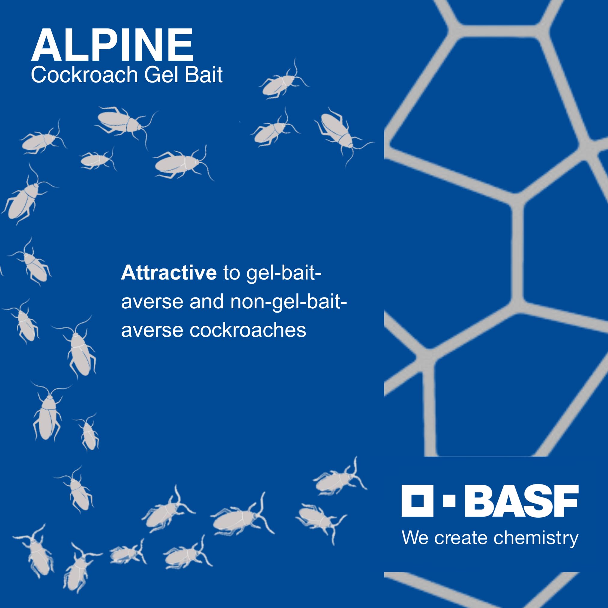 Alpine gel bait in a kitchen or lab setting for pest management.