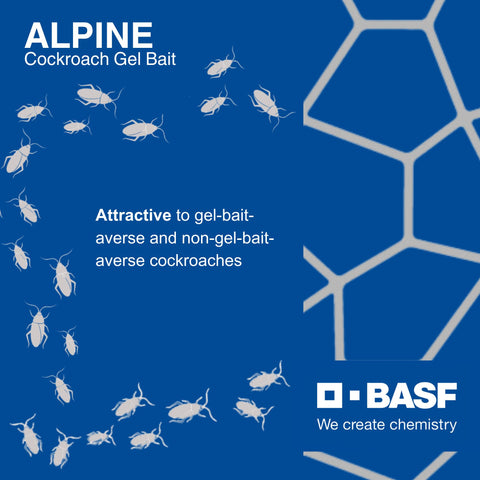 Alpine gel bait in a kitchen or lab setting for pest management.
