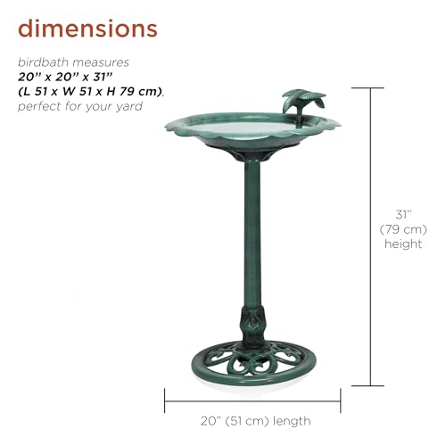 Alpine Corporation bird-on-rim close-up featuring a perched bird accent.