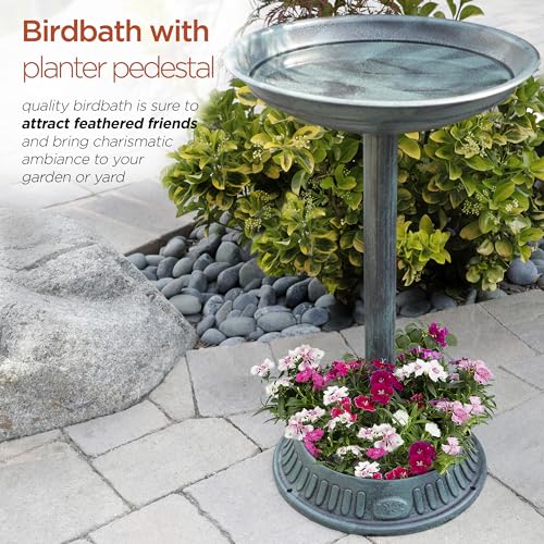 Green finish birdbath close-up on shallow bowl encourages bathing