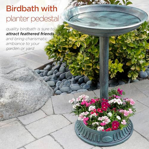 Green finish birdbath close-up on shallow bowl encourages bathing