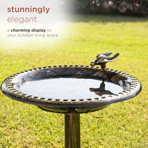Alpine Corporation life-like bird statue perched on rim draws birds
