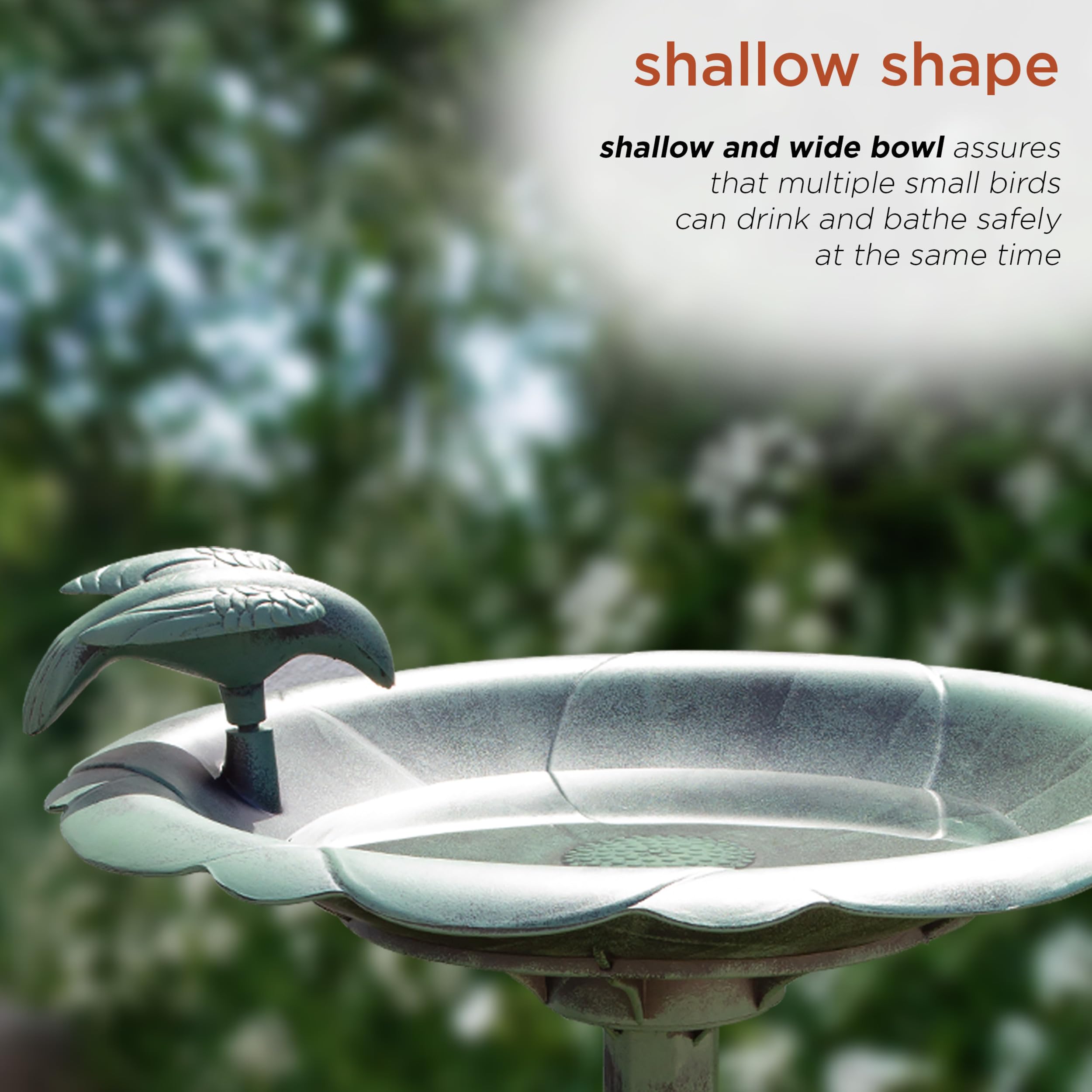 Alpine Corporation shallow bowl emphasizes water access for multiple birds.