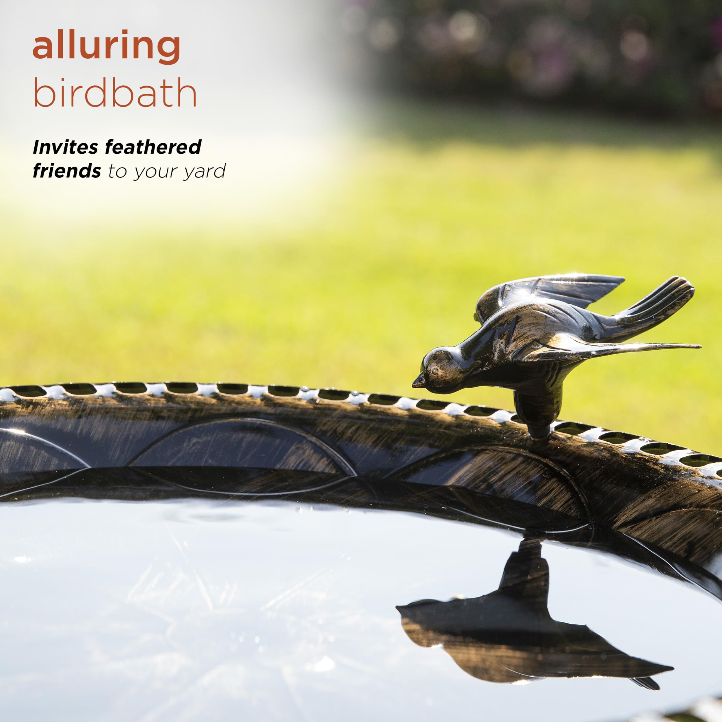 Alpine Corporation sturdy pedestal provides stable support for birds