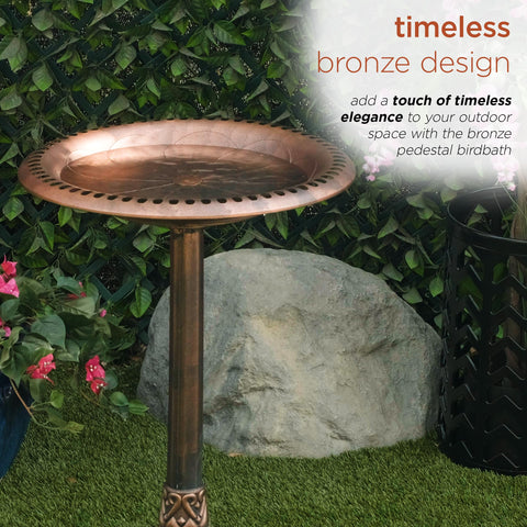 Versatile Alpine garden decor birdbath suitable for lawn, patio, or porch.
