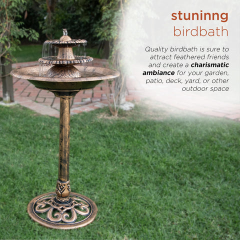 Alpine TEC106-BZ birdbath design invites local birds to visit.